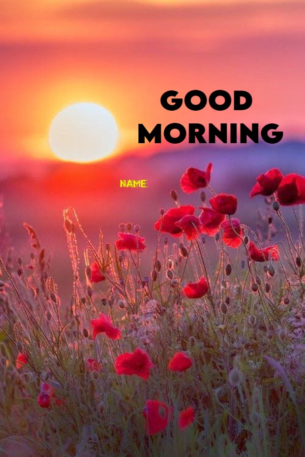 Bright Sunsrise With Beautiful Flowers Good Morning Wish