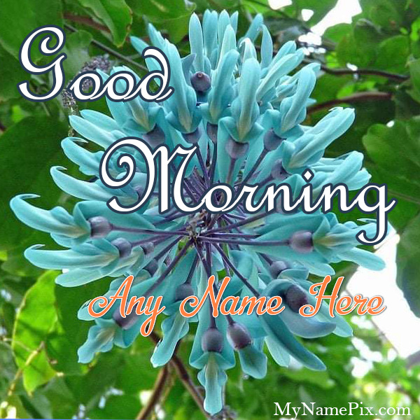 Good Morning Wish Blue Flower Card With Name
