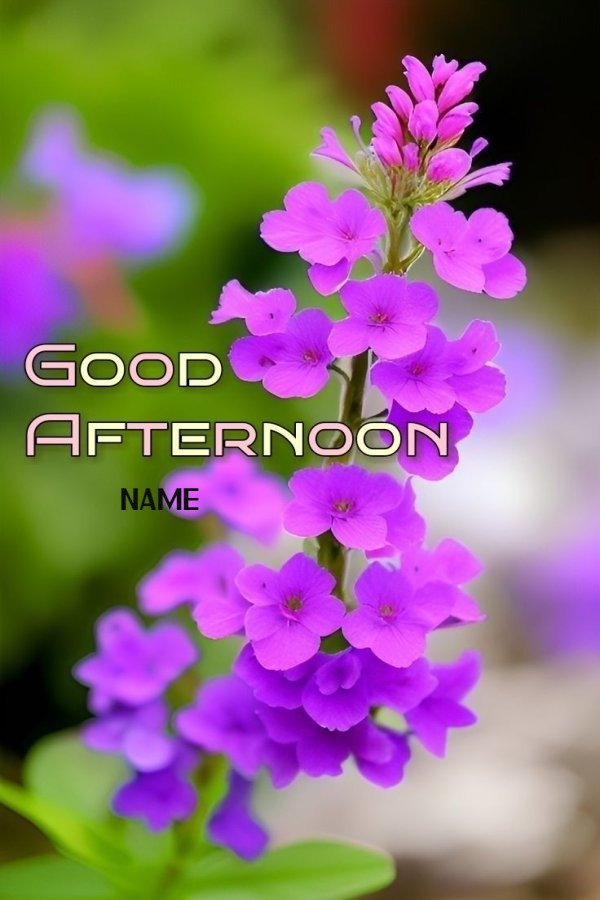 Good Morning Wish With  Dazzling Purple Flowrers
